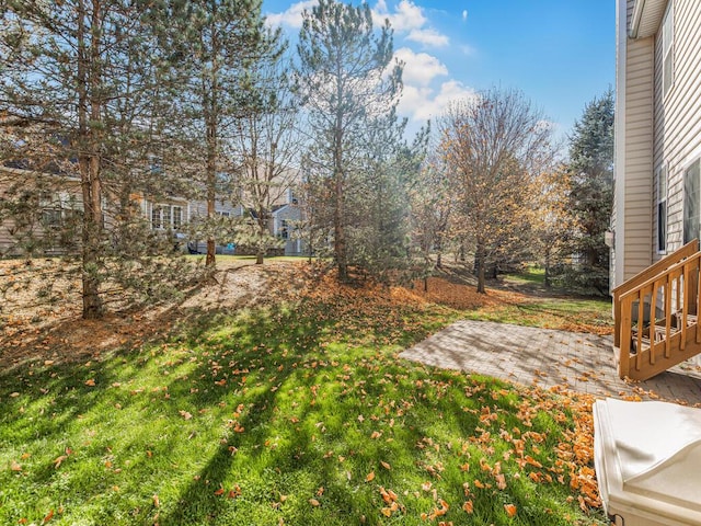 view of yard with a patio