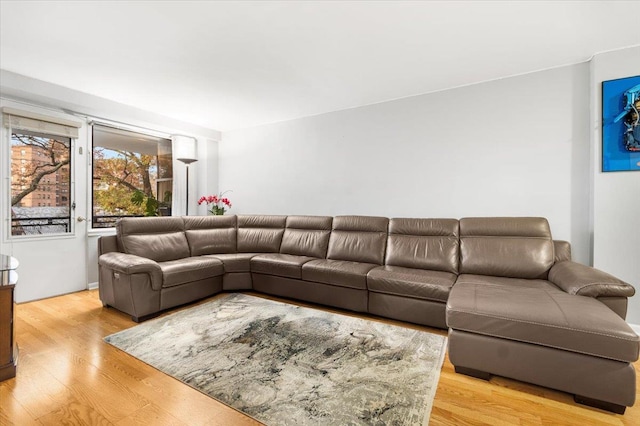 living room featuring light wood-type flooring