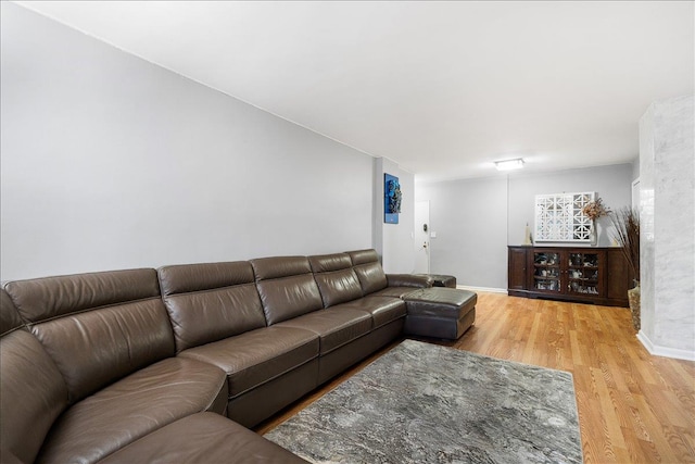 living room featuring hardwood / wood-style flooring