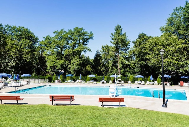 view of pool featuring a yard and a patio