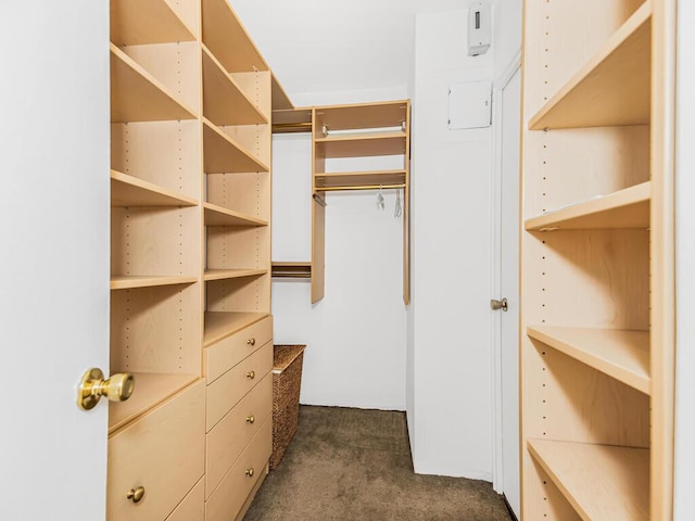 walk in closet with dark carpet