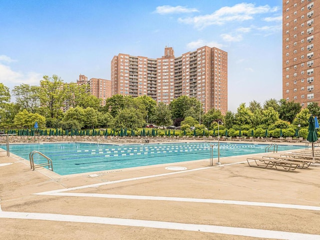 view of pool with a patio area