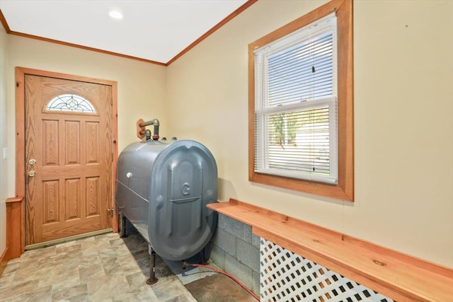 foyer entrance with plenty of natural light and ornamental molding