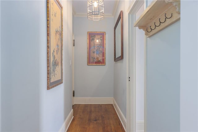 hall with a notable chandelier, dark hardwood / wood-style flooring, and crown molding