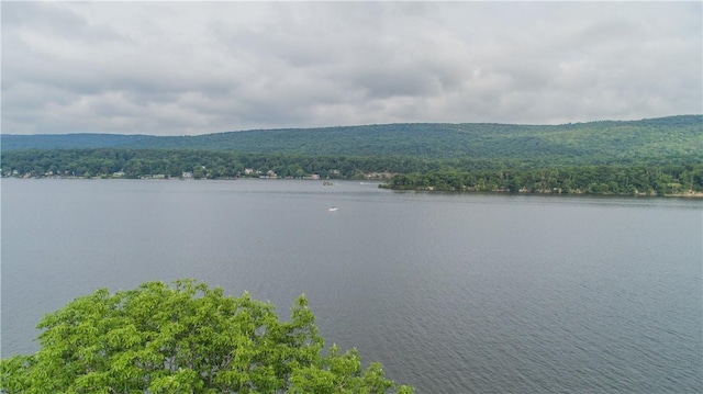 water view featuring a mountain view