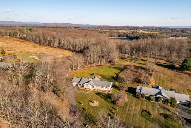 drone / aerial view with a mountain view