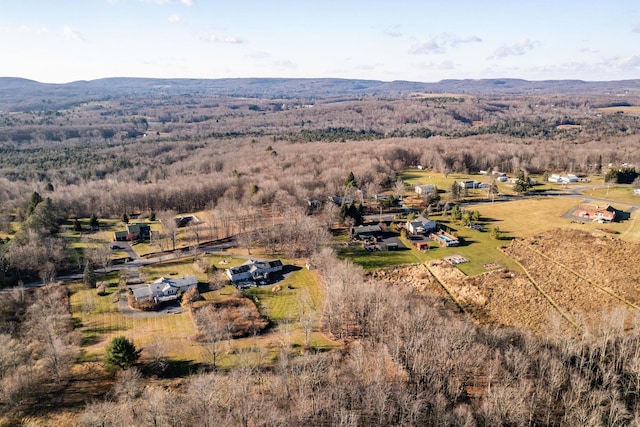 bird's eye view with a mountain view