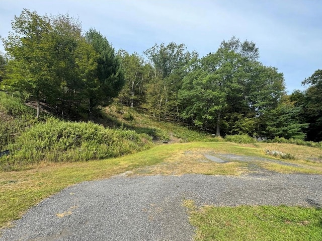 86 Canal St, Port Jervis NY, 12771 land for sale