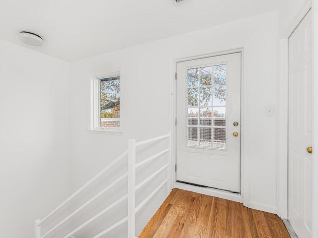 doorway featuring plenty of natural light and light wood-type flooring