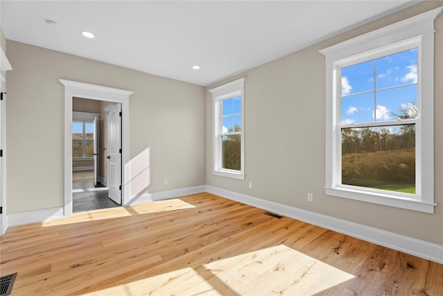 spare room featuring light wood-type flooring and plenty of natural light