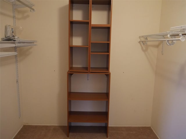 walk in closet with carpet floors