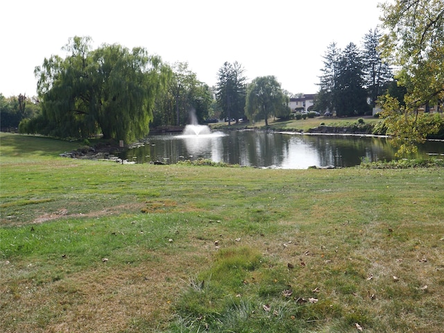 view of water feature