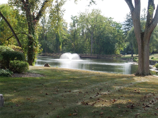 view of water feature