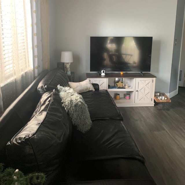 living room featuring hardwood / wood-style flooring