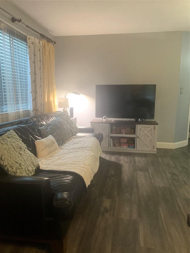 615 Broadway Unit 81, Amityville, NY 11701 - living room featuring dark wood-style flooring and baseboards
