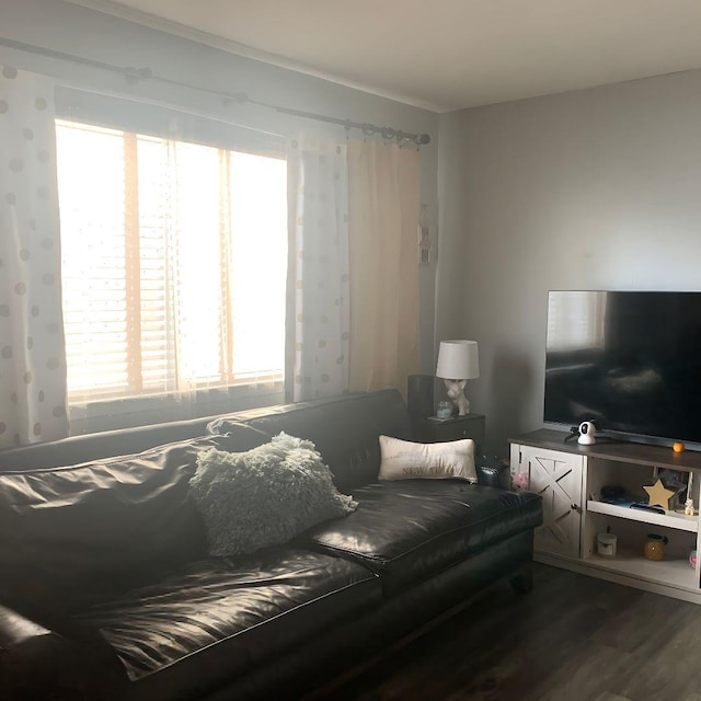 615 Broadway Unit 81, Amityville, NY 11701 - living room featuring dark wood finished floors