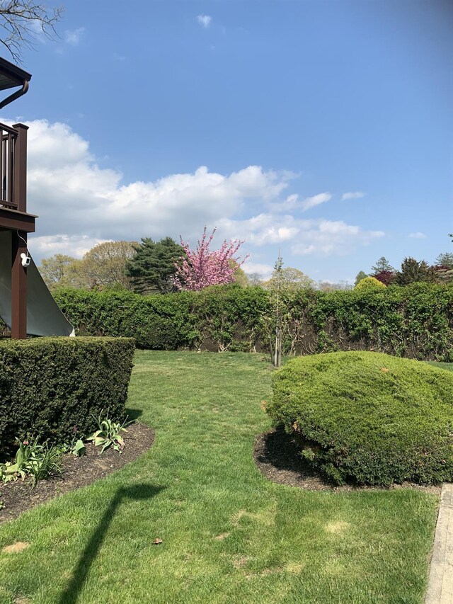 615 Broadway Unit 81, Amityville, NY 11701 - view of grassy yard