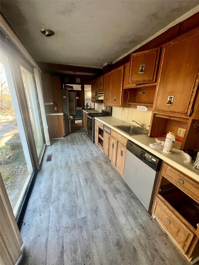 kitchen with sink, light hardwood / wood-style floors, and appliances with stainless steel finishes