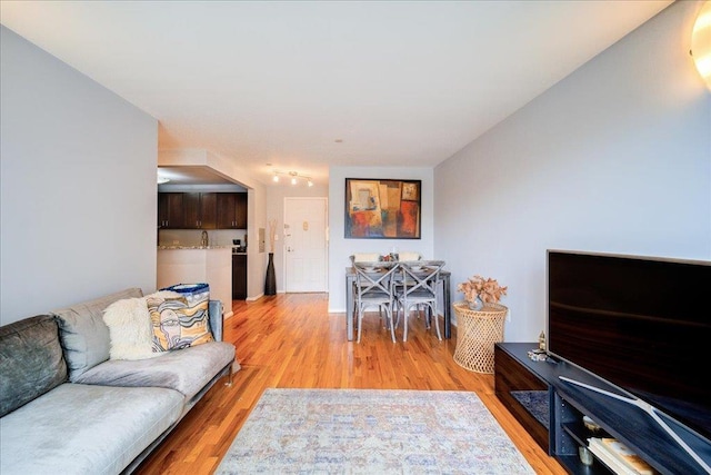 living room featuring light wood-type flooring