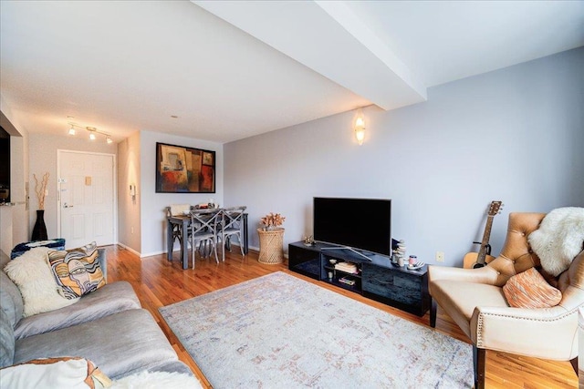 living room with hardwood / wood-style flooring