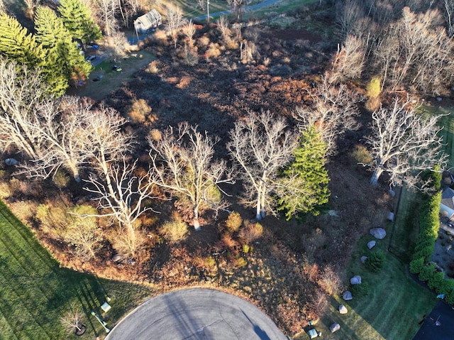 8 Apisson Trl, Highland Mills, NY 10930 - photo 1