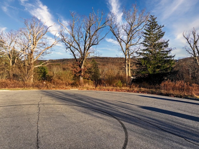 8 Apisson Trl, Highland Mills, NY 10930 - photo 2
