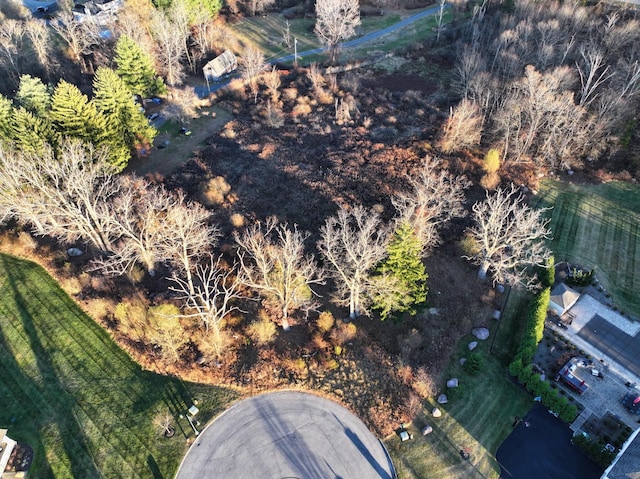 8 Apisson Trl, Highland Mills, NY 10930 - photo 8
