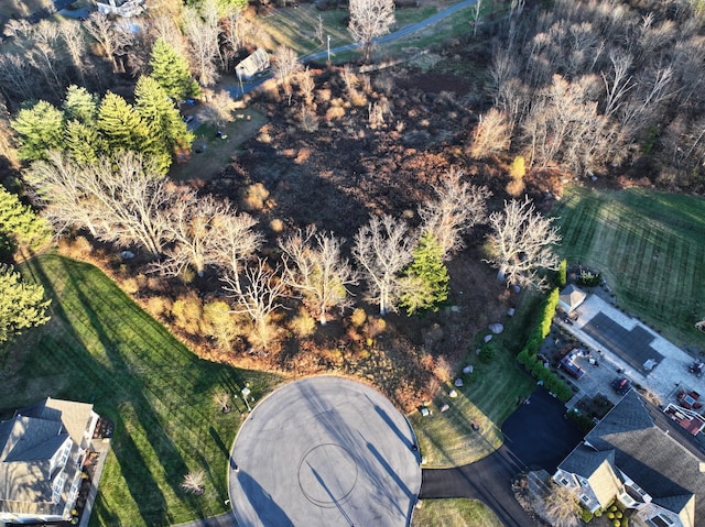 8 Apisson Trl, Highland Mills, NY 10930 - photo 10