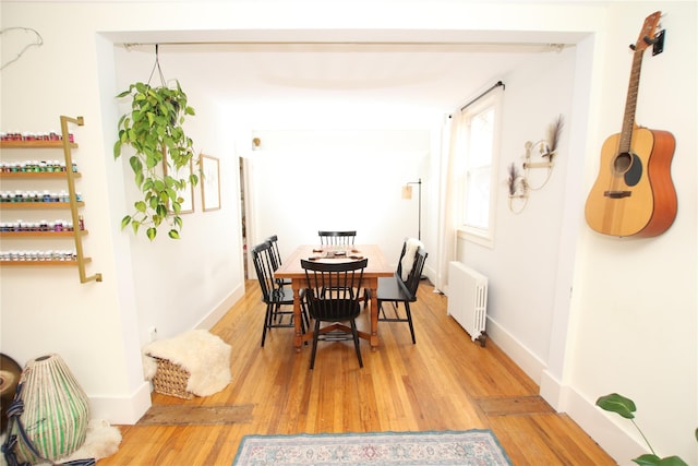 dining room with hardwood / wood-style floors and radiator