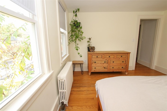 bedroom with radiator heating unit, light hardwood / wood-style flooring, and multiple windows