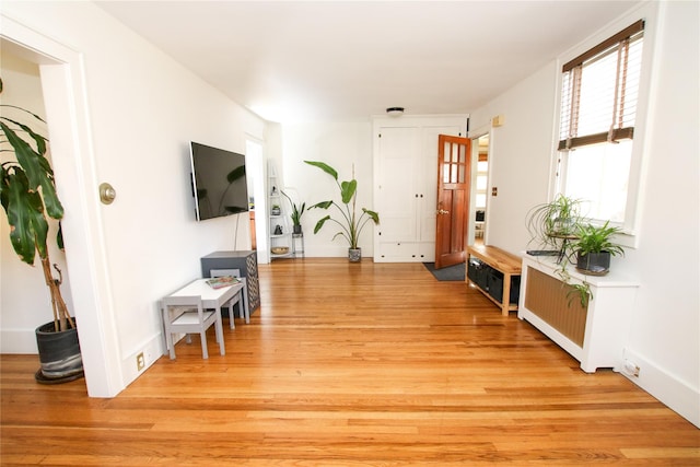 living room featuring light hardwood / wood-style flooring