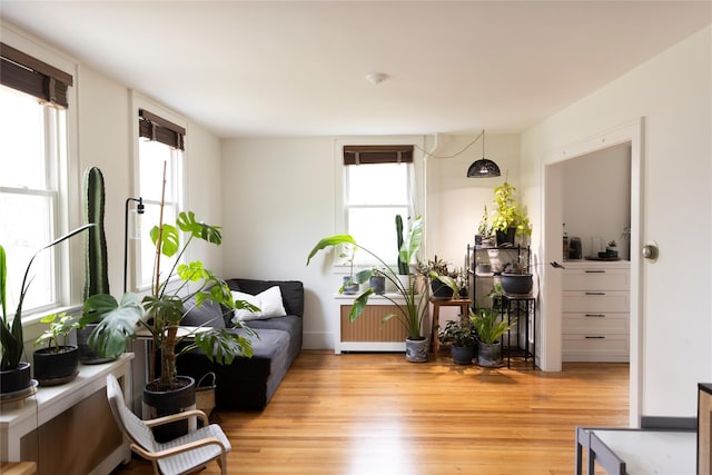 19-21 Moore Ave, Chatham, NY 12037 - living room featuring healthy amount of natural light, light wood-style floors, and radiator heating unit