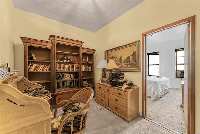 sitting room with a textured ceiling and light colored carpet