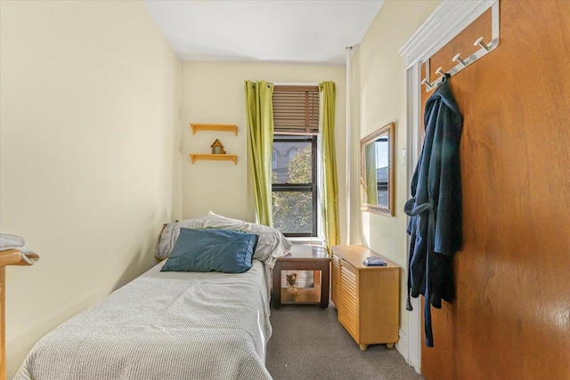 bedroom with carpet floors