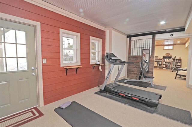 exercise area with wooden walls and carpet floors