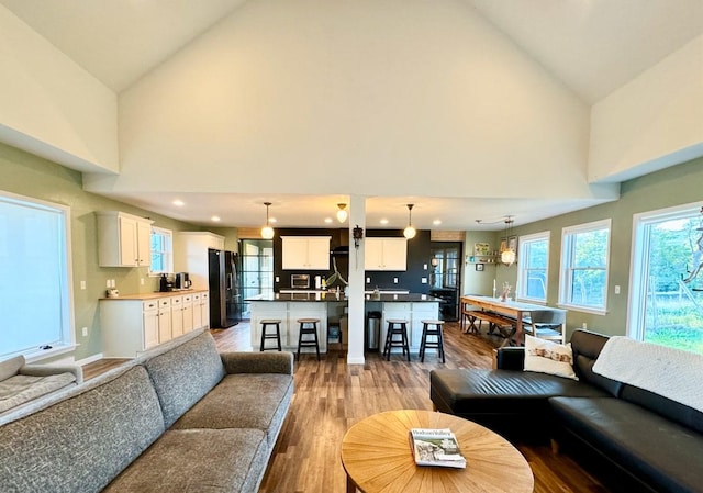 living room featuring hardwood / wood-style flooring and high vaulted ceiling