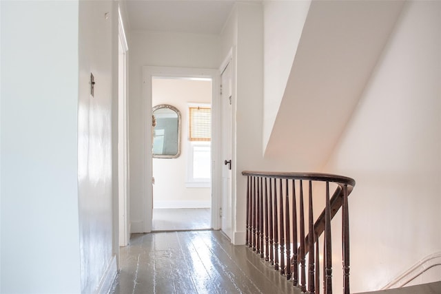 hallway featuring wood-type flooring