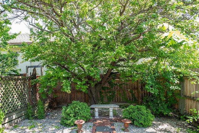 view of yard featuring a patio area