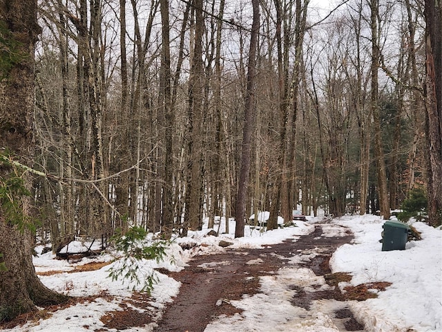 view of snowy view