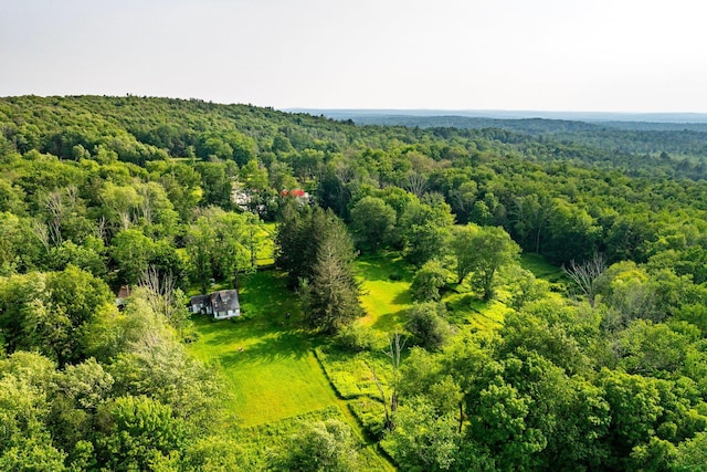 174 Dingle Daisy Rd, Monticello, NY 12701 - bird's eye view of a heavily wooded area