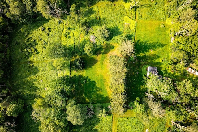 174 Dingle Daisy Rd, Monticello, NY 12701 - aerial view