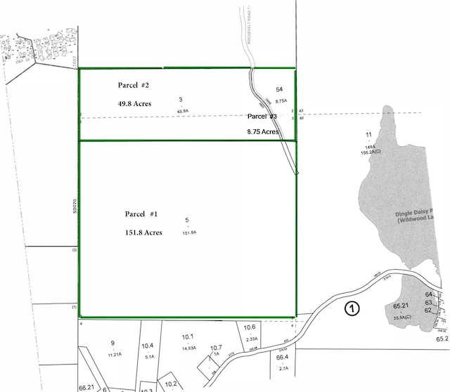 174 Dingle Daisy Rd, Monticello, NY 12701 - map of parcels