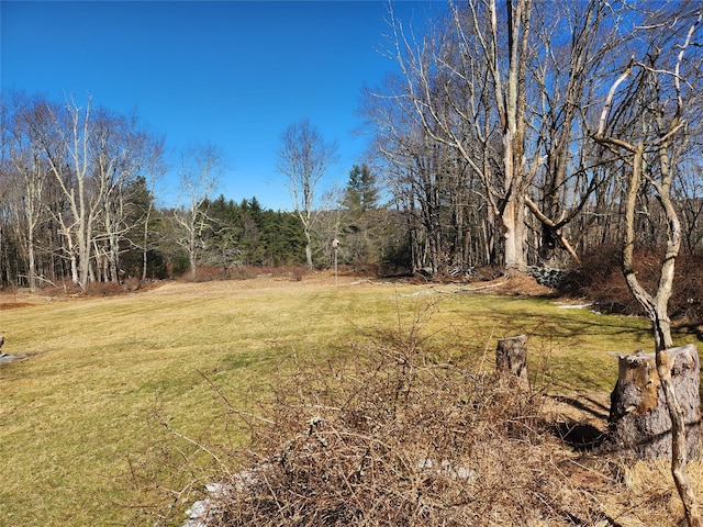 174 Dingle Daisy Rd, Monticello, NY 12701 - view of green lawn