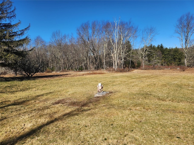 174 Dingle Daisy Rd, Monticello, NY 12701 - view of grassy yard