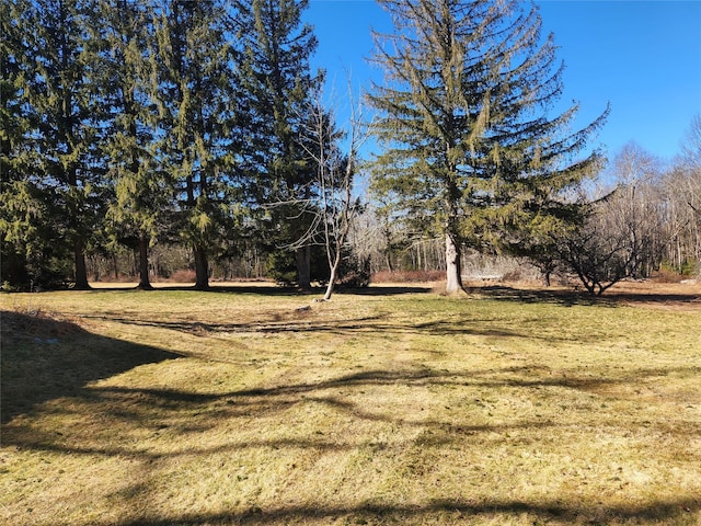 174 Dingle Daisy Rd, Monticello, NY 12701 - view of grassy yard