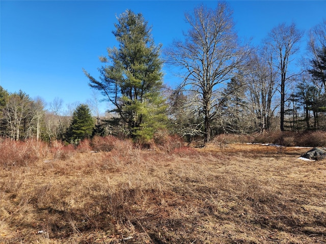 174 Dingle Daisy Rd, Monticello, NY 12701 - view of local wilderness