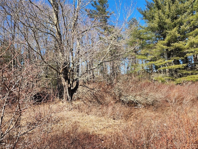 174 Dingle Daisy Rd, Monticello, NY 12701 - view of local wilderness