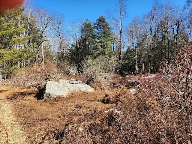 174 Dingle Daisy Rd, Monticello, NY 12701 - view of local wilderness