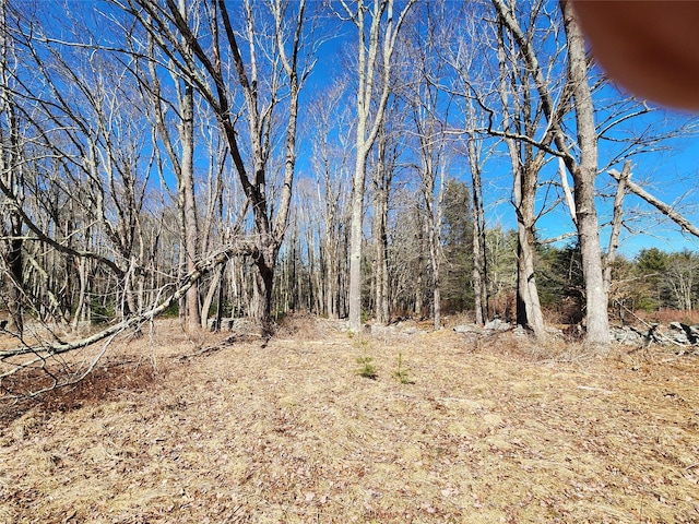 174 Dingle Daisy Rd, Monticello, NY 12701 - view of nature