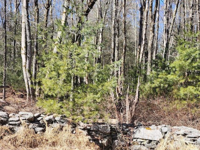 174 Dingle Daisy Rd, Monticello, NY 12701 - view of wooded area